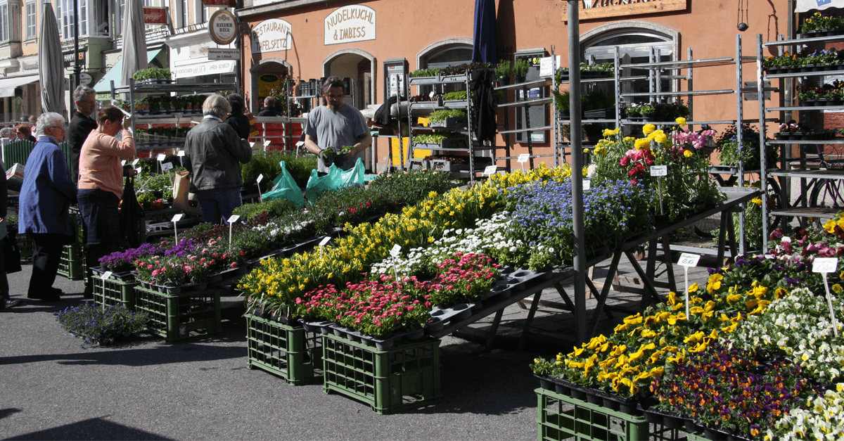 Wochenmarkt und Bauernmarkt finden wieder statt